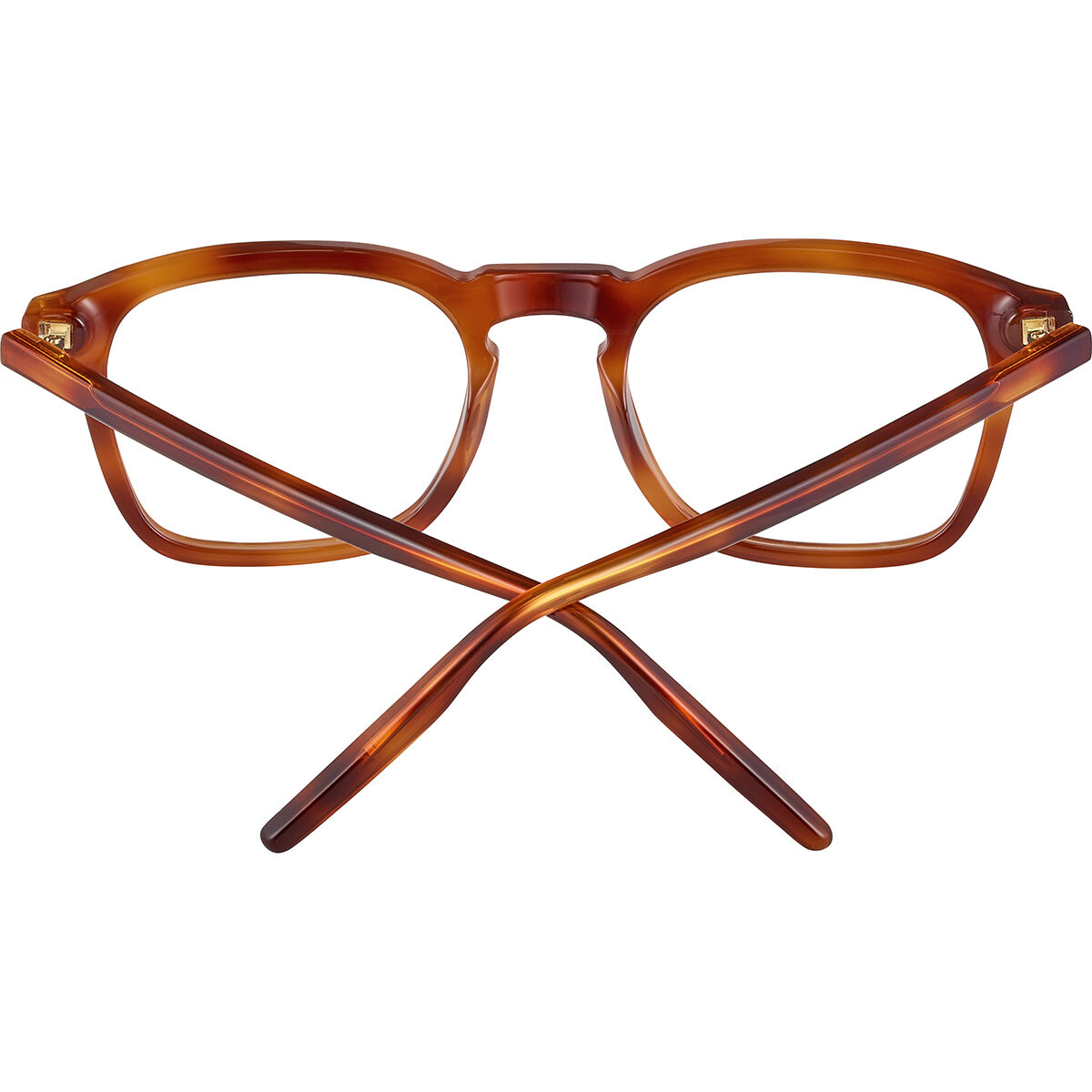 BILLIE OPTIC, Shiny Classic Havana-Demo Lens, hi-res image number null